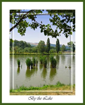 u32/elisa75/medium/31587751.bythelake1.jpg
