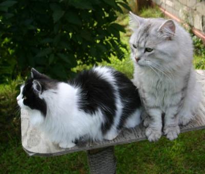 Zessna & friend Timofej