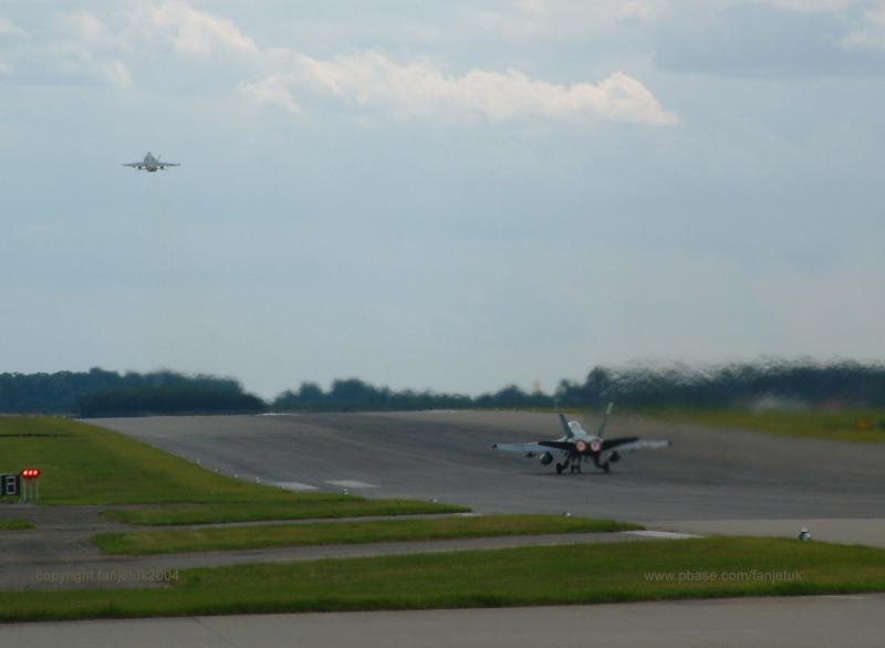 Hornets on take-off