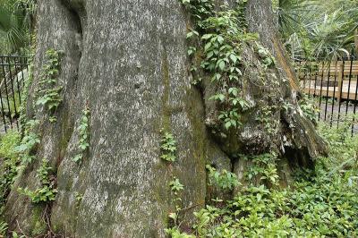 The base is 17 1/2 feet in diameter