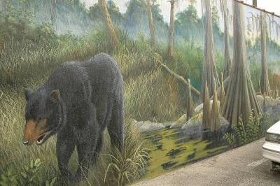 Black bear mural