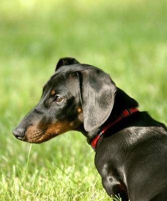 Max2