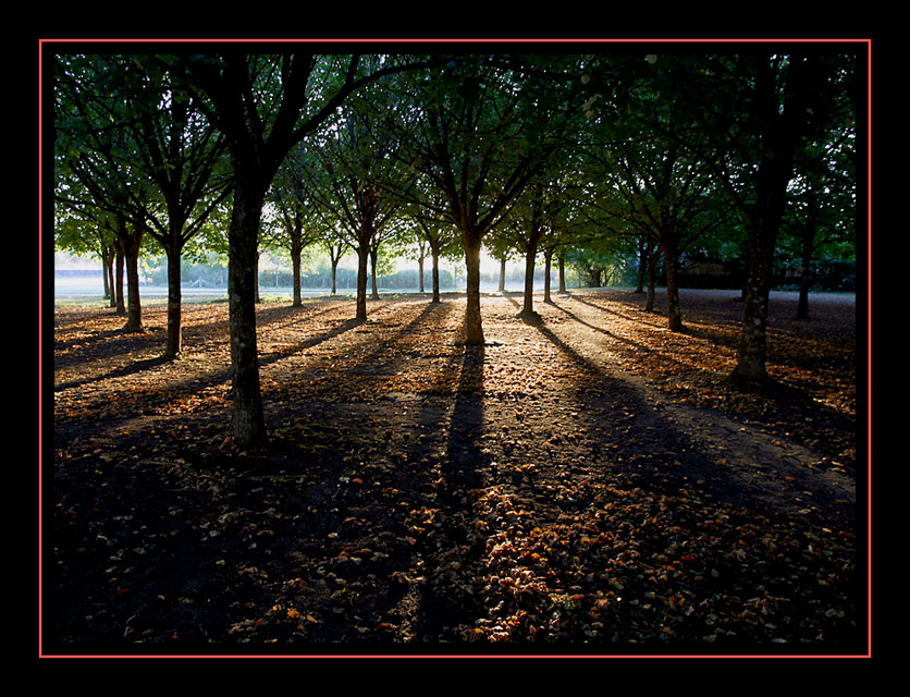 Early morning light