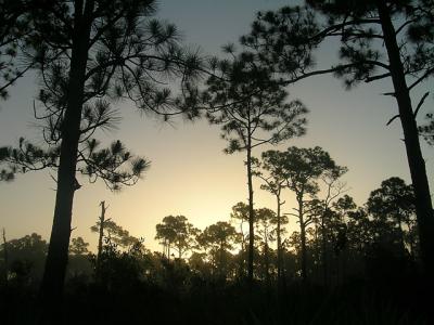 Sunrise