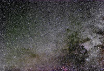 Constellation  Cygnus