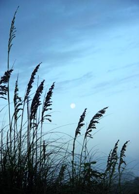 Moonset.jpg
