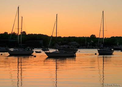 Masts at sunset