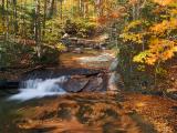 Mountain Stream