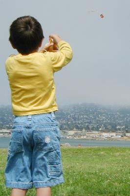 Kite Pilot