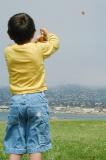Kite Pilot