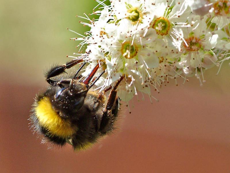 Hang on honey!