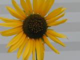 DSCN0001.JPG