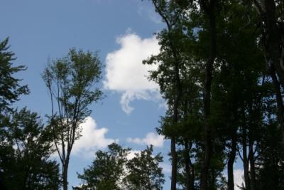 old forge clouds.jpg