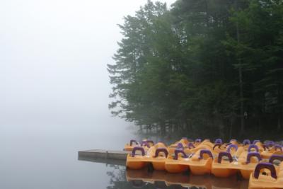 paddleboats in the mist.jpg