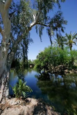 Zoo Lake