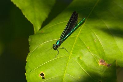 CRW_6573.jpg