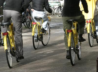 The Yellow Bike Brigade