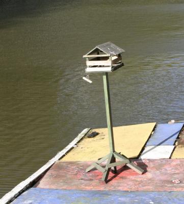 Floating birdhouse sighted on one of the canals.