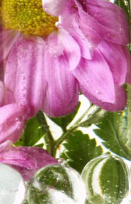 Liquid Flowers