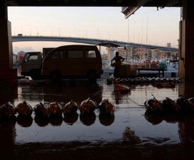 Okinawa fish market