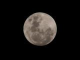 Moon 1
