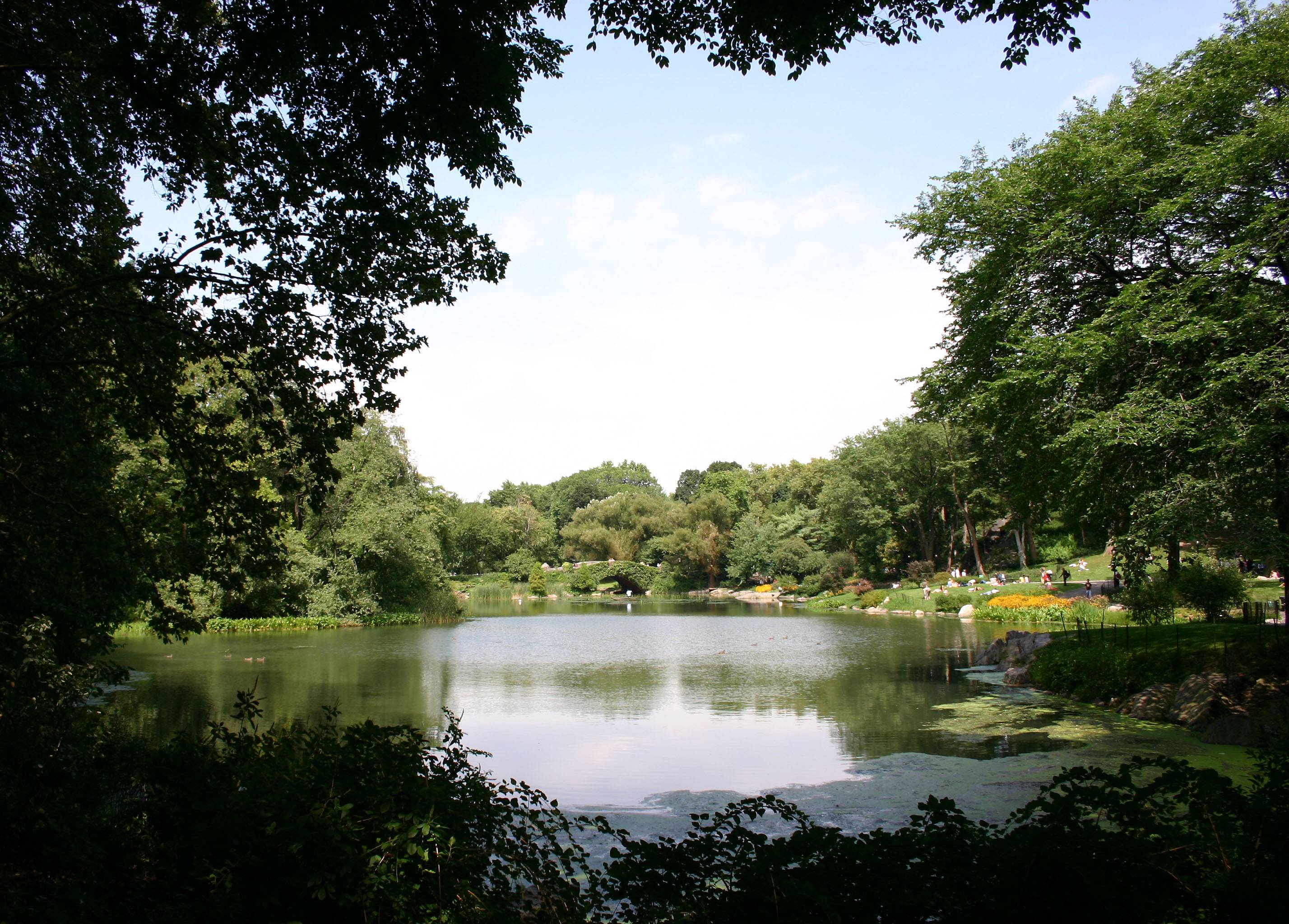 Pond at CPS near Fifth Avenue