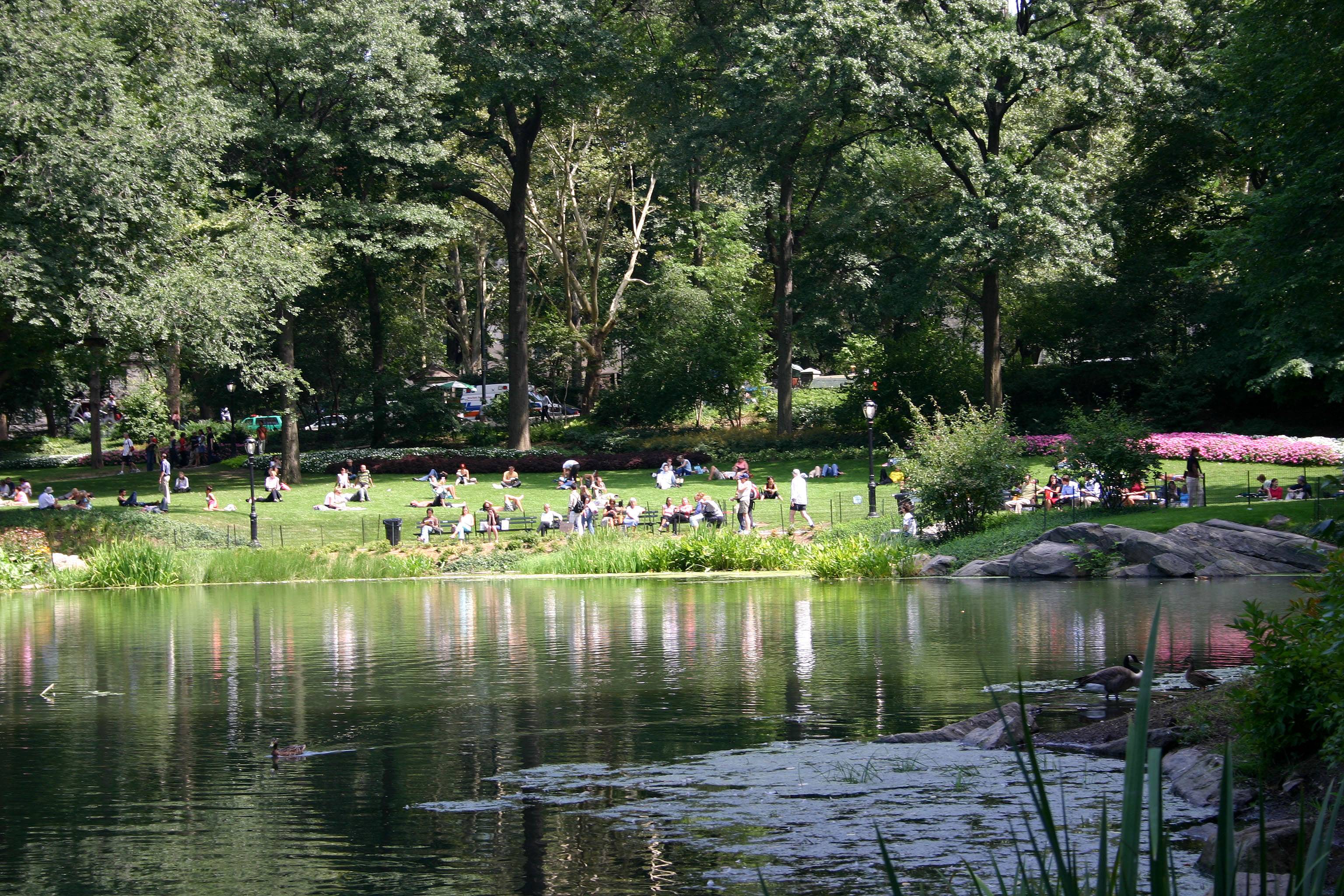 Pond at CPS near Fifth Avenue