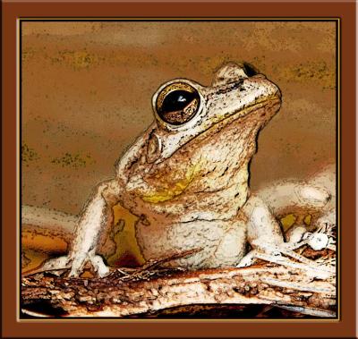 frog-paint2.jpg