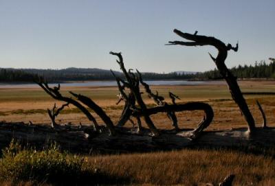 Thompson resevoir