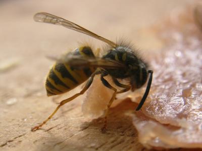 IMG22484.JPG