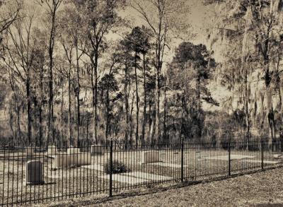 Alabaman Cemetery (Sepia)