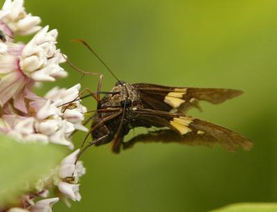 DSC_5109.jpg