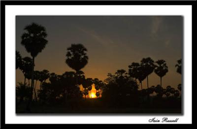 CRW_0219 Date Palm sun set.jpg