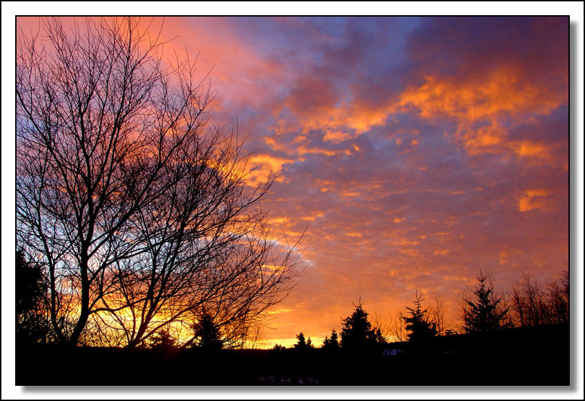 Winter Sunrise out my back door