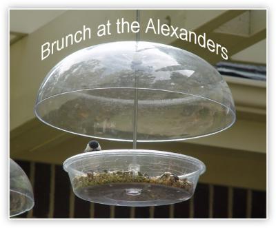Brunch at the Alexanders