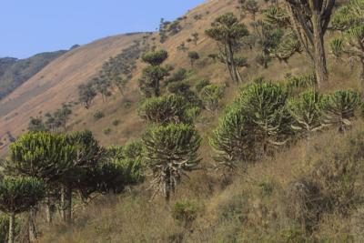 Going down into Ngorongoro Crater