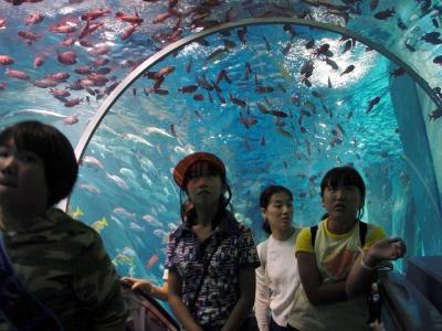u32/jaizel/medium/20835692.FieldTrip.jpg