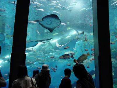 Underwater Flight