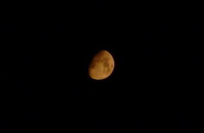 Heavenly Bodies