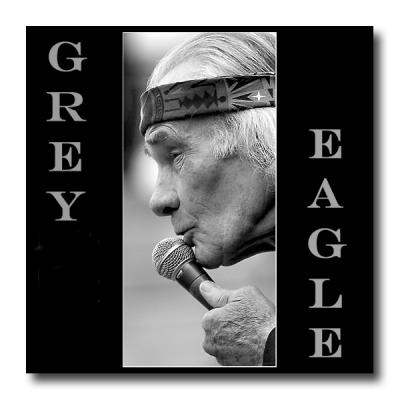 Grey Eagle