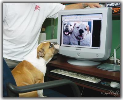 u32/jarrell/medium/31453257.hlookingatmonitor.jpg