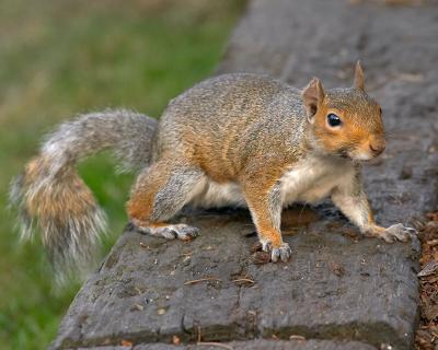 CRW_8832-2.jpg