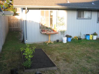 Tyler's garden