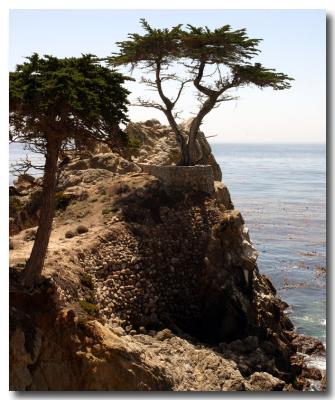 Half Moon Bay/Santa Cruz/Monterey