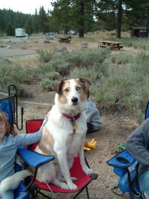 Tucker likes to be part of the family.