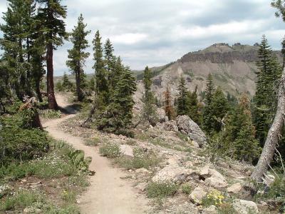 Some nice singletrack along the ridgeline.