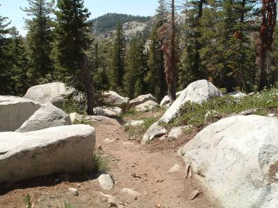 The trail starts to get rocky.