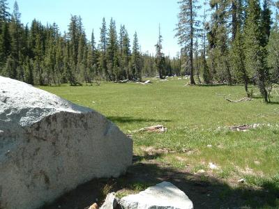 A beautiful high alpine meadow.