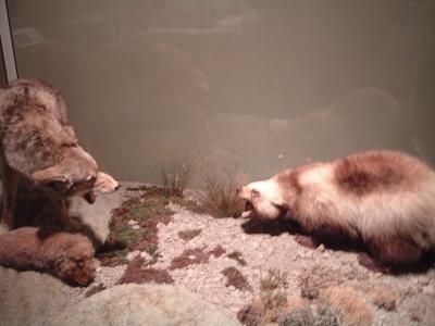 Oakland Museum of California