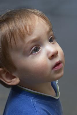 CRW_3211usm.jpg